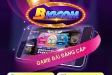 Bigcom – Game bài uy tín – Tải Bigcom cho Android/IOS 2023